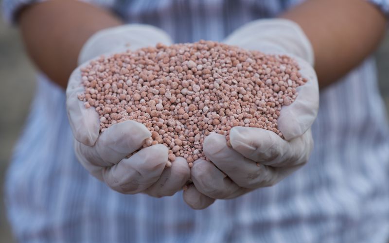 Phân lân là gì? Tác dụng của phân lân với cây trồng